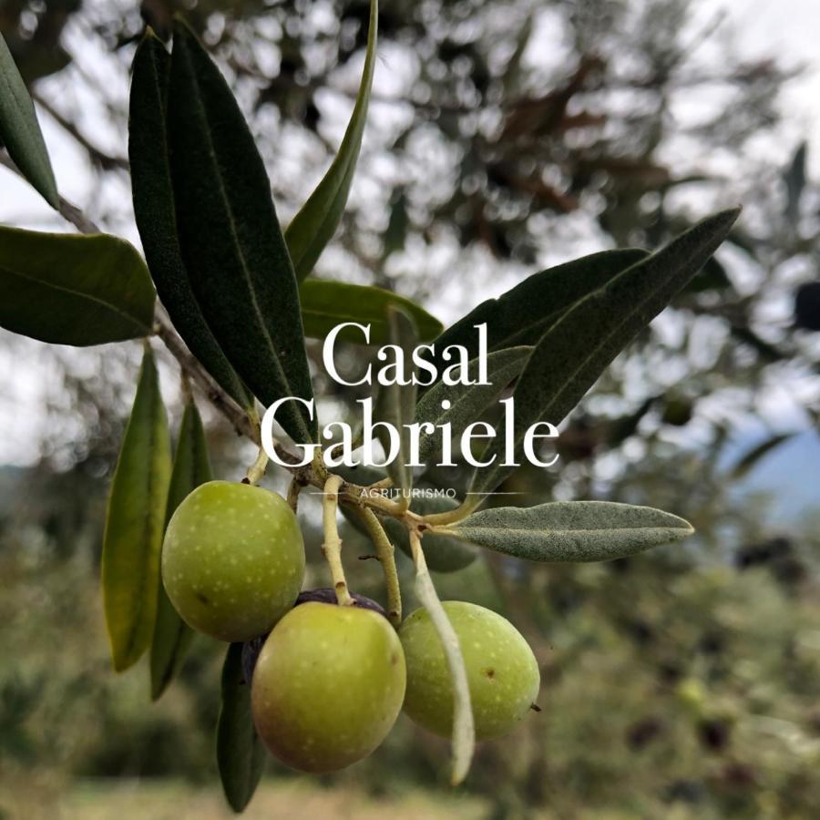 LettereCasal Gabriele别墅 外观 照片